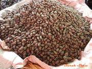 Standard Grade A cocoa beans for sale